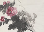 牡丹